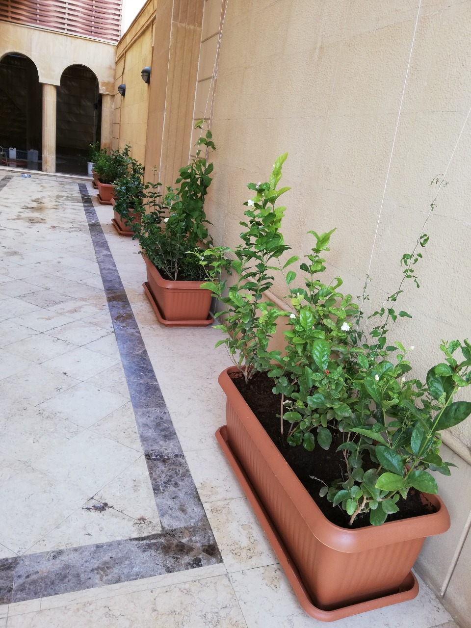 تركيب مسطحات خضراء طبيعية