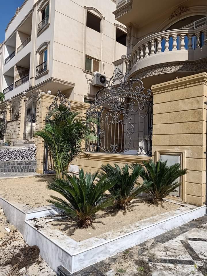عشب طبيعي للفلل والحدائق