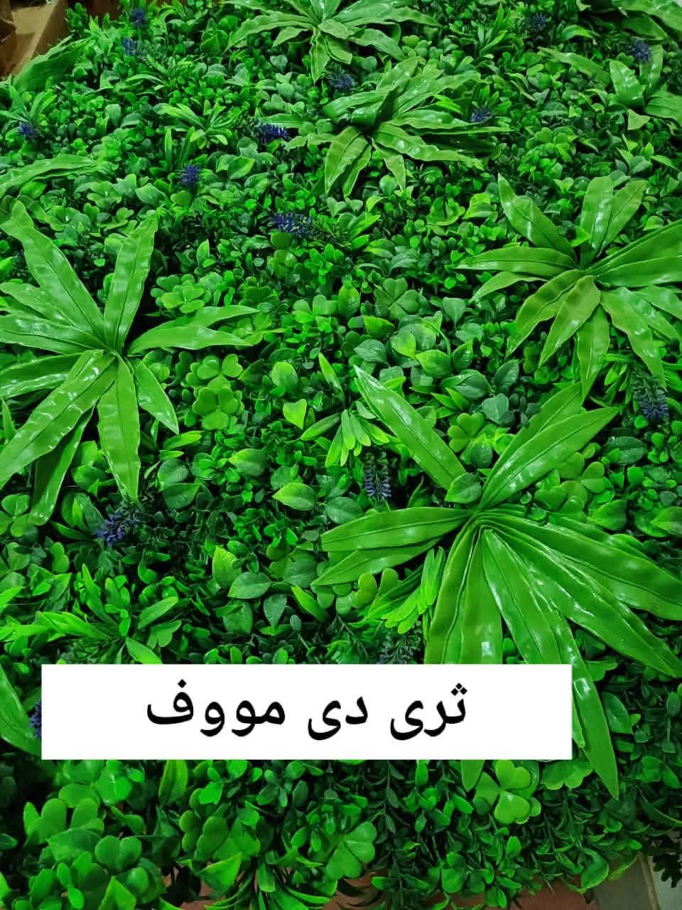 صورة تنسيق حدائق وشلالات ونوافير مؤسسة نجران