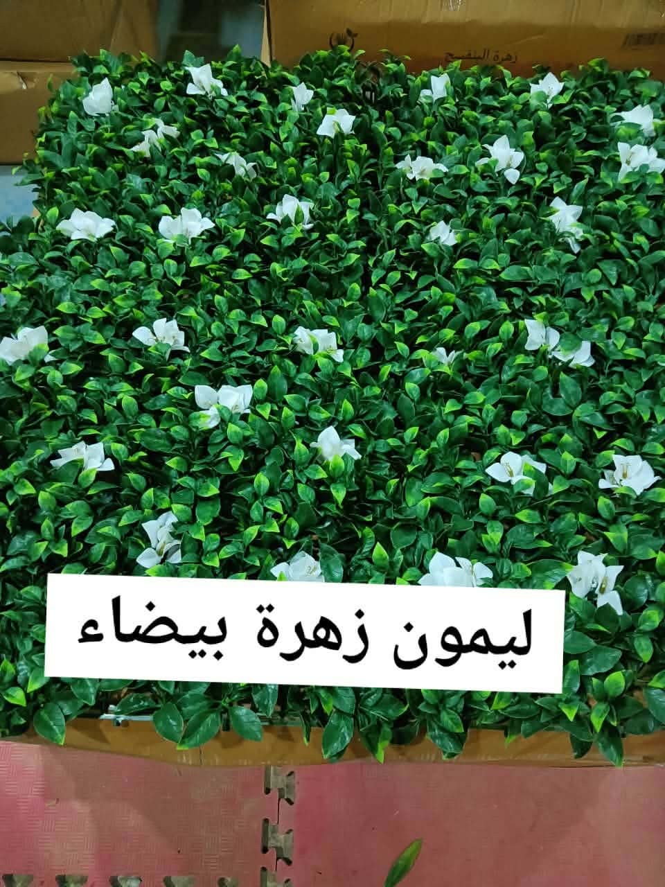 صورة تنسيق حدائق وشلالات ونوافير مؤسسة نجران