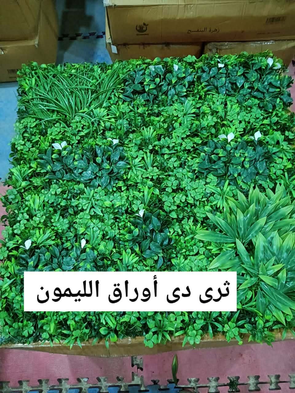 صورة تنسيق حدائق وشلالات ونوافير مؤسسة نجران