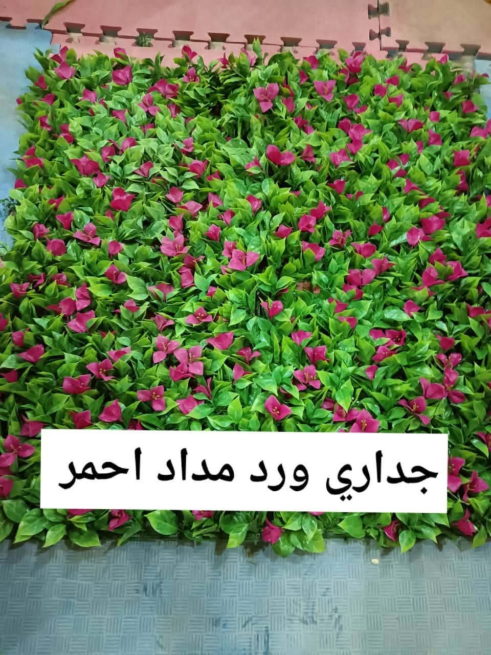 صورة تنسيق حدائق وشلالات ونوافير مؤسسة نجران